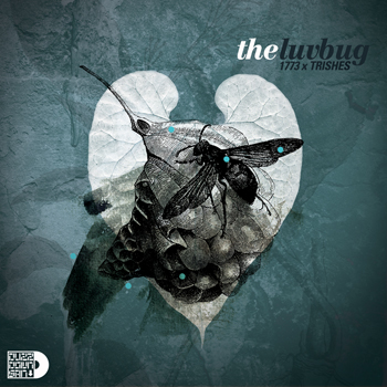 News: Trishes and 1773 take you from Chicago to Austria with ‘The Luv Bug’