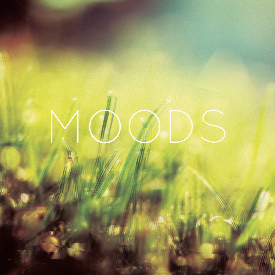 Video: Moods – Dedicated