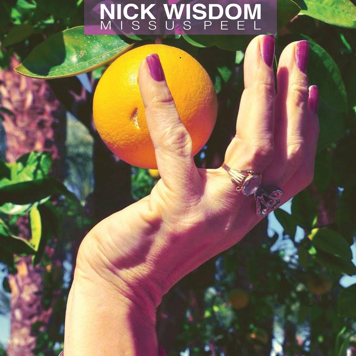 Free Download: Nick Wisdom – Missus Peel