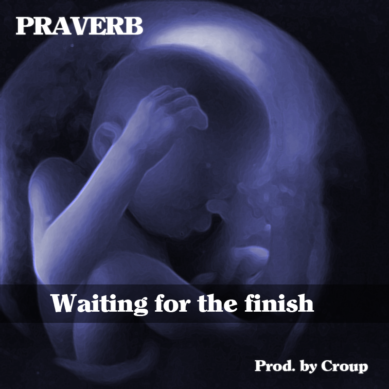Free MP3: Praverb the Wyse – Waiting For The Finish