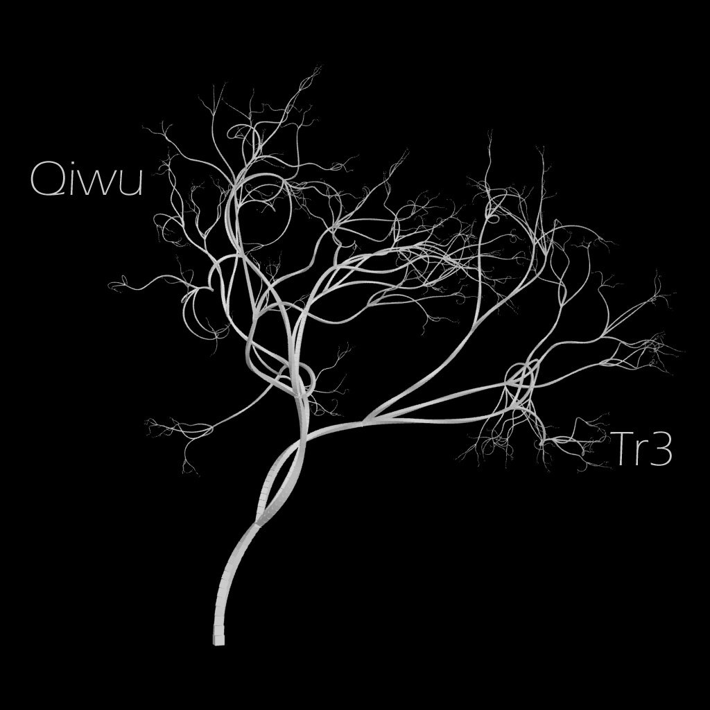 Mix: The Qiwu Selftet – Qiwuserie 1 (2011)