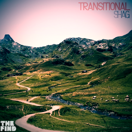 Guest Mix: Shag – Transitional (2011)