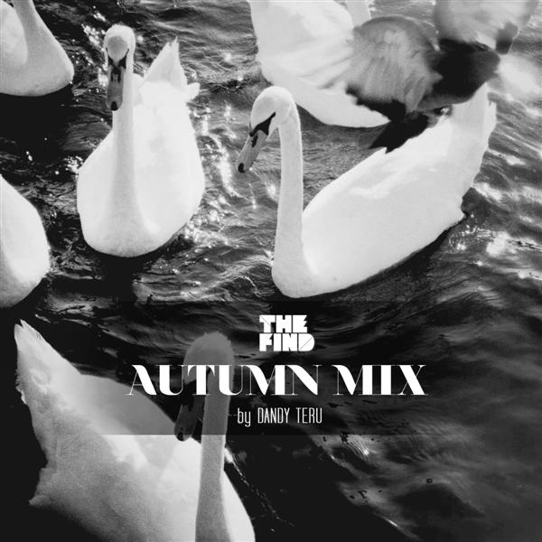 Guest Mix: Dandy Teru – Autumn Mix (2011)
