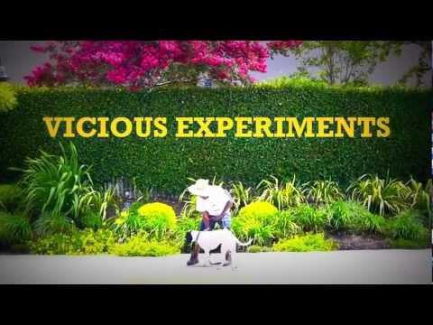 Video: Time Machine – Vicious Experiments (Teaser)