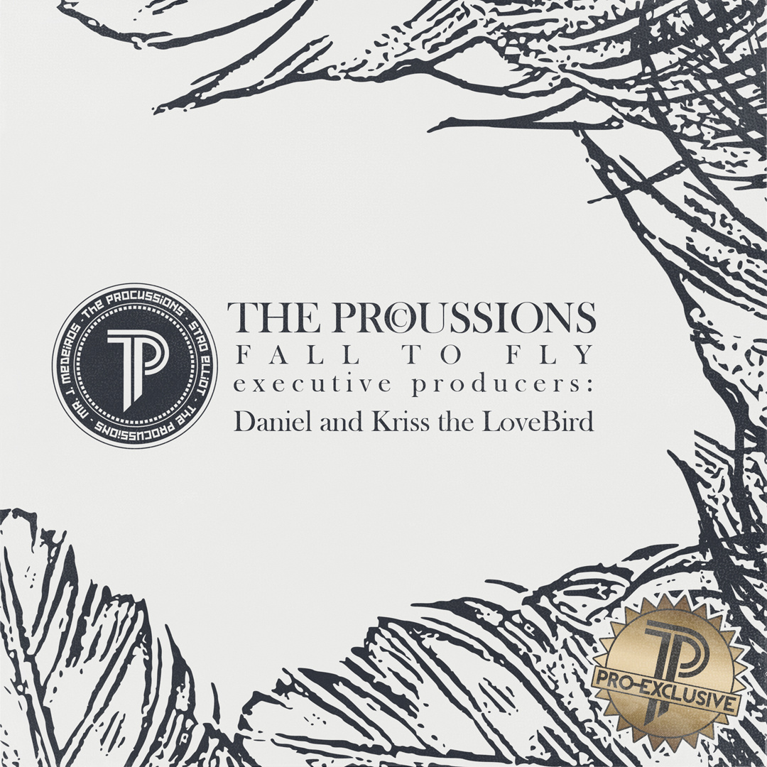 Free MP3: The Procussions – Fall to Fly