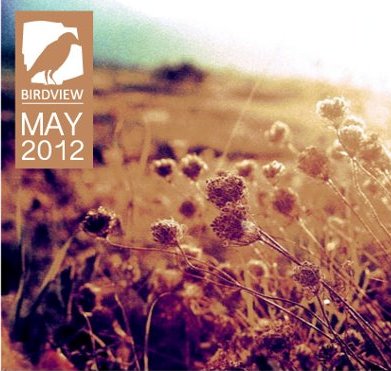Free Download: Birdview Crew – MAY.EP (2012)