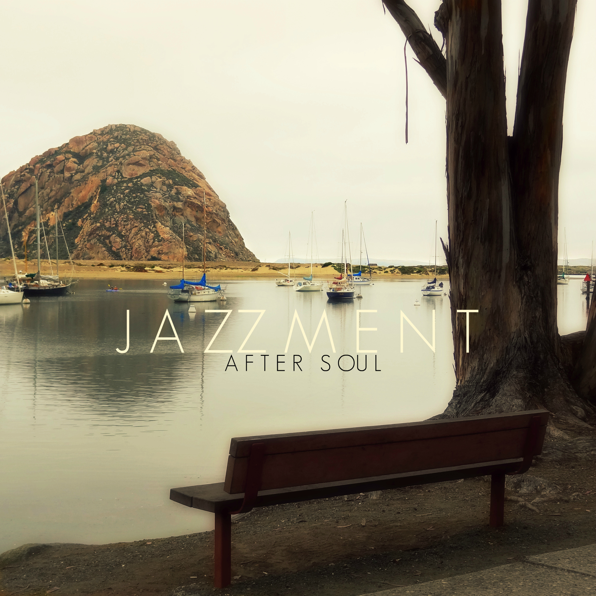 Free Download: The Jazzment – After Soul (2011)